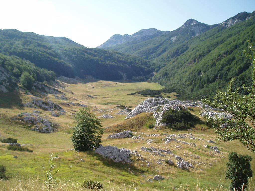 Apartments Amari Starigrad Paklenica Bagian luar foto