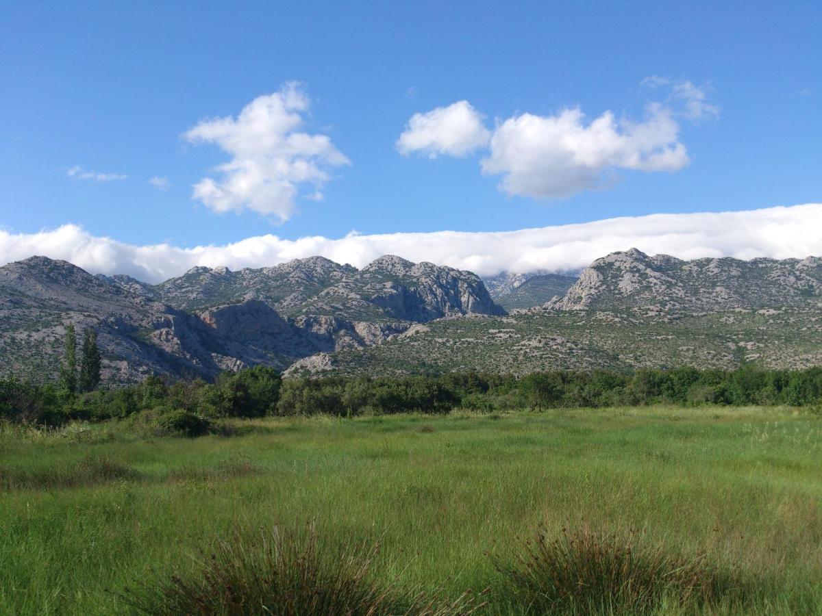 Apartments Amari Starigrad Paklenica Bagian luar foto
